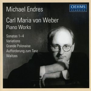 Piano Sonatas / Variations / Grande Polonaise , Michael Endres