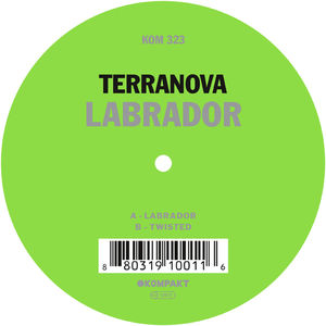 Labrador , Terranova