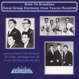 Back To Brooklyn: Vocal Group Harmony Taurus /  Var , Various Artists