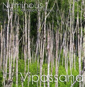 Vipassana , Numinous