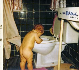 Bakesale , Sebadoh