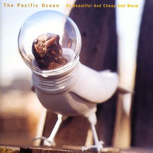 So Beautiful and Cheap and Warm , Pacific Ocean