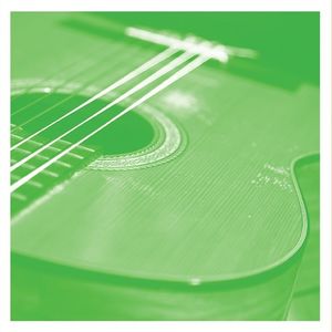 Vdsq Solo Acoustic Vol. 13 , Tashi Dorji