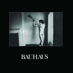 In The Flat Field , Bauhaus