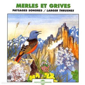 Larger Thrushes , Sounds Of Nature