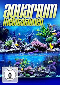 Aquarium Meditation