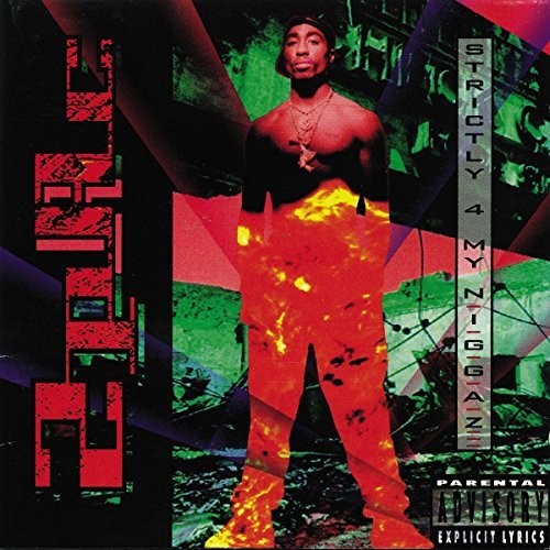 Strictly 4 My N.I.G.G.A.Z... [Explicit Content]