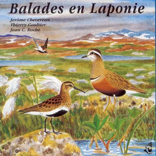 Sounds Of Nature - Lapland Walks