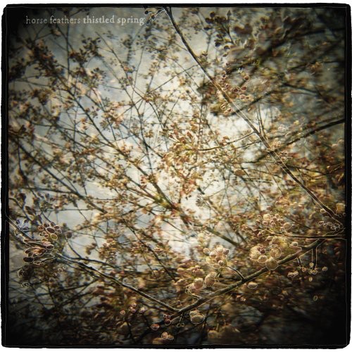 THISTLED SPRING