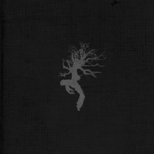 Thunder May Have Ruined The Moment