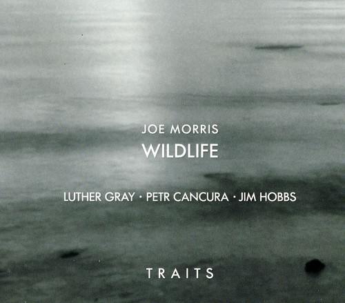 Traits