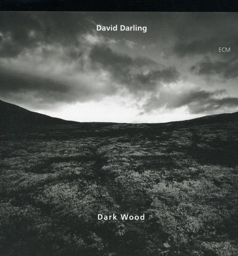 Darkwood