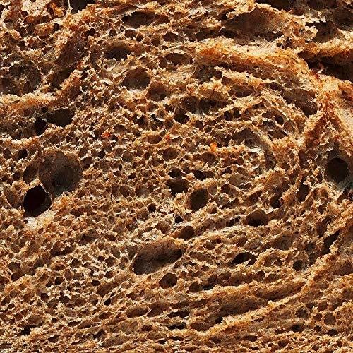 Paninoteca [Import]