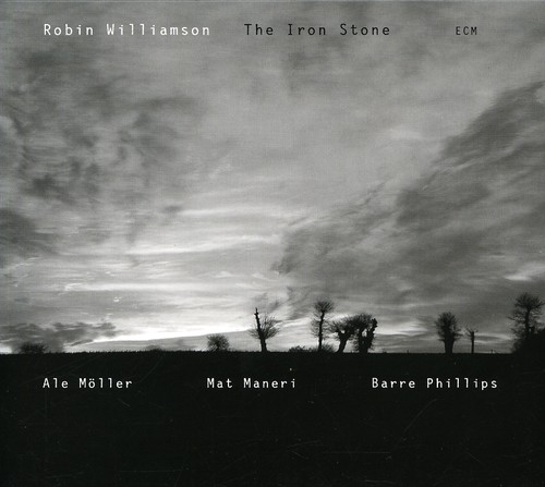 Robin Williamson - Iron Stone [Import]