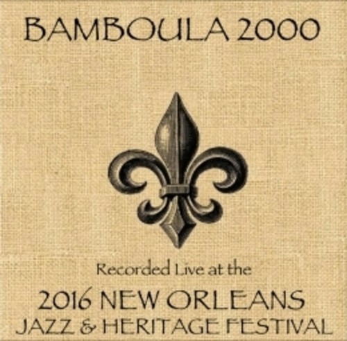 Bamboula 2000  Live at JazzFest 2016