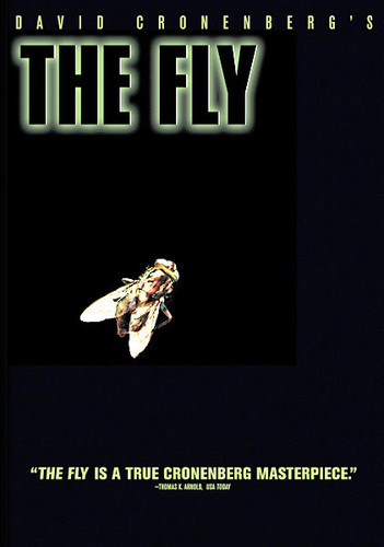 Fly - The Fly