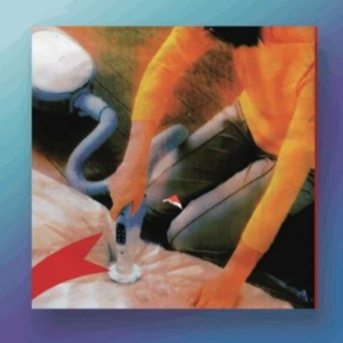 Why Do You Look Like Your Dog?