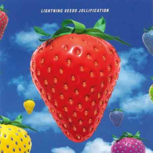Jollification [Import]