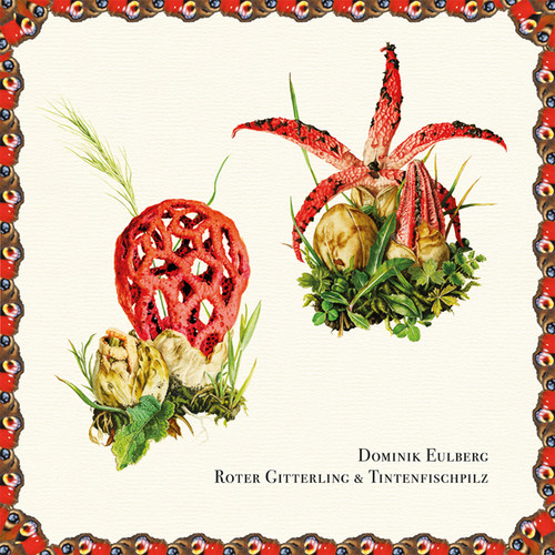 Roter Gitterling & Tintenfischpilz
