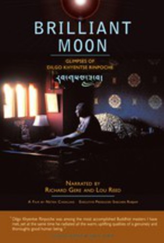 Brilliant Moon