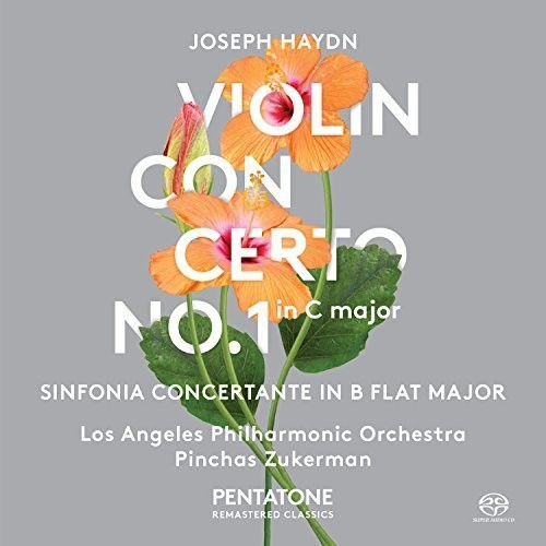 Violin Concerto No. 1 in C Major - Sinfonia