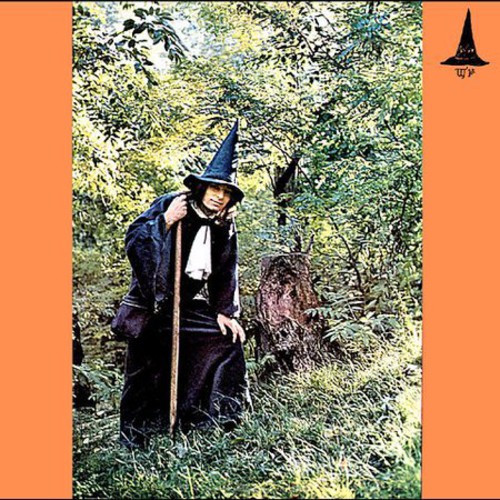 The Grey Wizard Am I