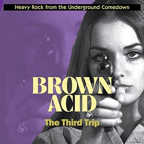 Brown Acid: Third Trip (Various Artists)