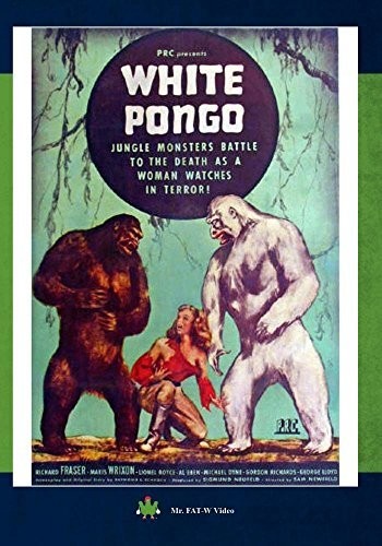 White Pongo