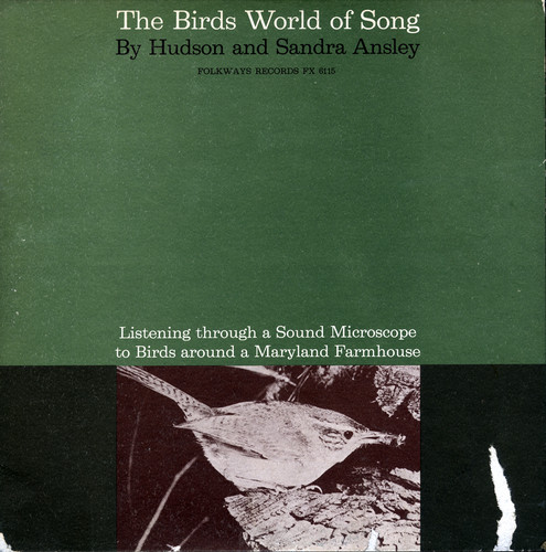 Birds World of Song /  Various
