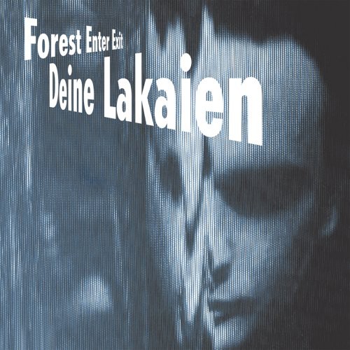 Forrest Enterexit