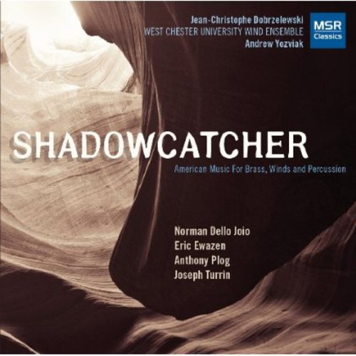 Shadow Catcher