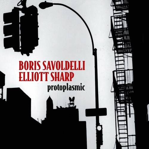 Boris Savoldelli & Elliott Sharp - Protoplasmic
