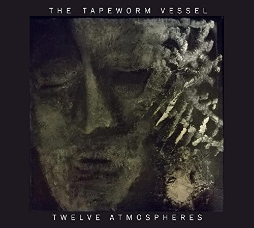 Twelve Atmospheres