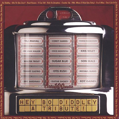 A Tribute: Hey Bo Diddley