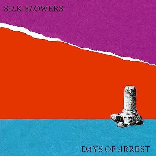 DAYS OF ARREST
