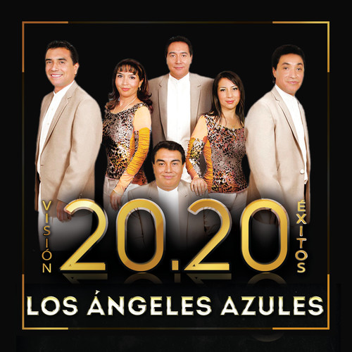 Vision 20.20 Exitos (WM)