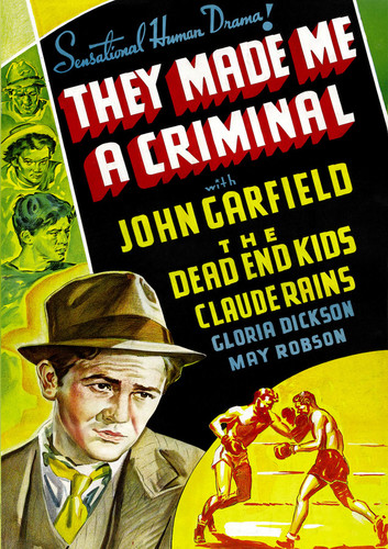 They Made Me a Criminal