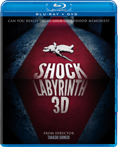 Shock Labyrinth