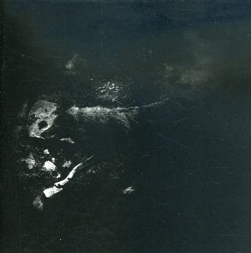 The Womb Of Primordial Nature