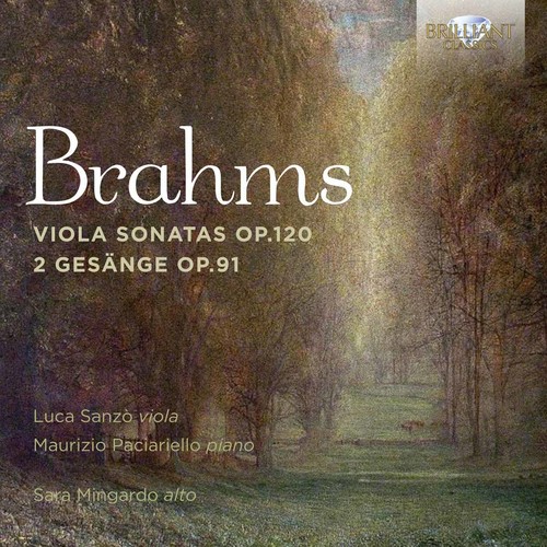 BRAHMS: VIOLA SONATAS OP 120 /  2 GESANGE OP 91