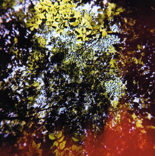 Butterfly Horse Street