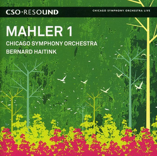 Symphony No 1