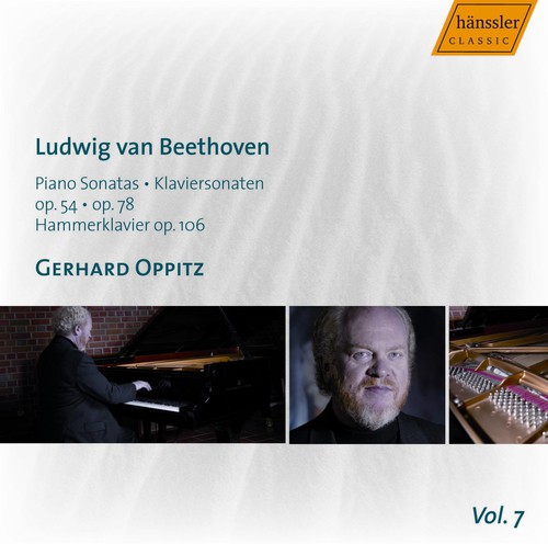 Piano Sonatas 22 24 29