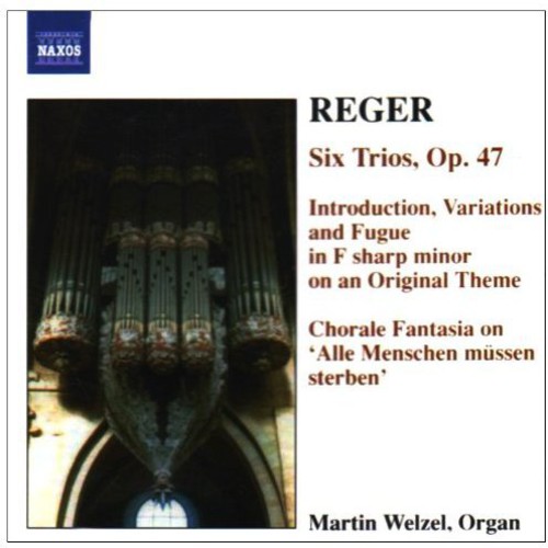 Organ Works 6