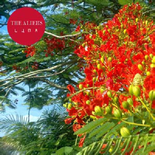 Aguardando imagem do produto