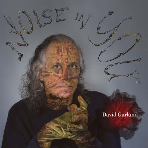 David Garland - Noise in You