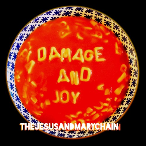 Damage & Joy [Import]