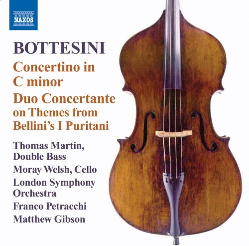 Concertino in C minor /  Duo Concertante on Themes