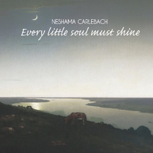 Every Little Soul Must Shine
