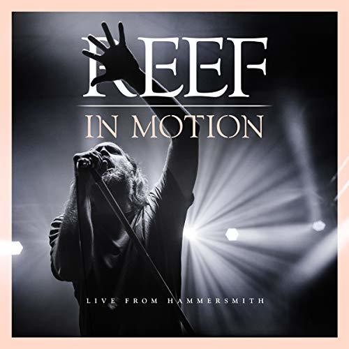 Reef - Live From Hammersmith (Wbr) (Uk)